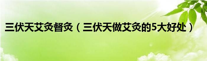 三伏天艾灸督灸（三伏天做艾灸的5大好处）