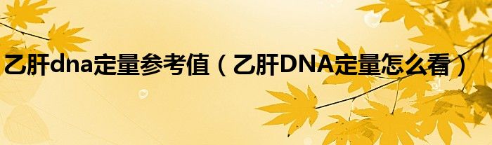 乙肝dna定量参考值（乙肝DNA定量怎么看）