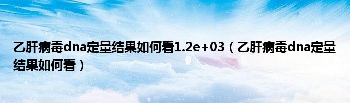 乙肝病毒dna定量结果如何看1.2e+03（乙肝病毒dna定量结果如何看）