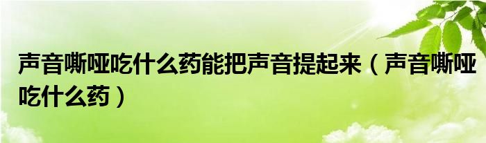 声音嘶哑吃什么药能把声音提起来（声音嘶哑吃什么药）