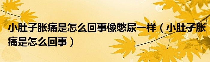 小肚子胀痛是怎么回事像憋尿一样（小肚子胀痛是怎么回事）