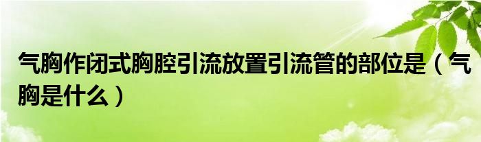 气胸作闭式胸腔引流放置引流管的部位是（气胸是什么）