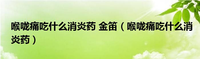 喉咙痛吃什么消炎药 金笛（喉咙痛吃什么消炎药）