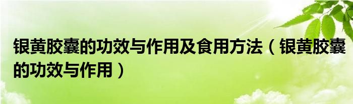 银黄胶囊的功效与作用及食用方法（银黄胶囊的功效与作用）