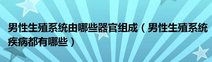 男性生殖系统由哪些器官组成（男性生殖系统疾病都有哪些）