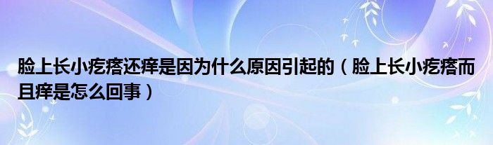 脸上长小疙瘩还痒是因为什么原因引起的（脸上长小疙瘩而且痒是怎么回事）