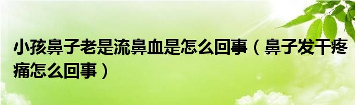 小孩鼻子老是流鼻血是怎么回事（鼻子发干疼痛怎么回事）