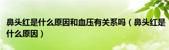 鼻头红是什么原因和血压有关系吗（鼻头红是什么原因）