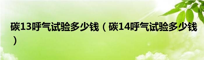 碳13呼气试验多少钱（碳14呼气试验多少钱）