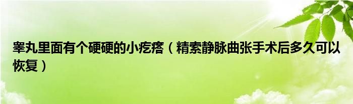 睾丸里面有个硬硬的小疙瘩（精索静脉曲张手术后多久可以恢复）