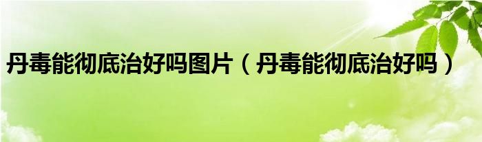 丹毒能彻底治好吗图片（丹毒能彻底治好吗）