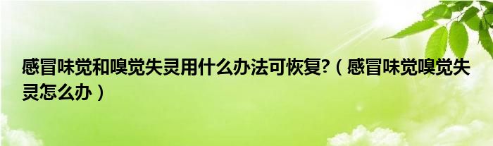 感冒味觉和嗅觉失灵用什么办法可恢复?（感冒味觉嗅觉失灵怎么办）