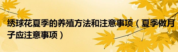 绣球花夏季的养殖方法和注意事项（夏季做月子应注意事项）