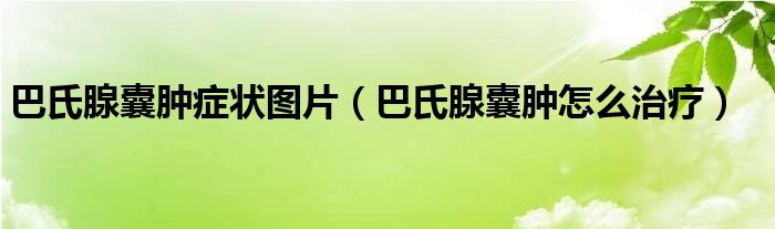 巴氏腺囊肿症状图片（巴氏腺囊肿怎么治疗）