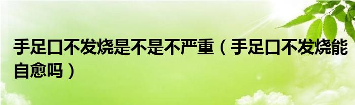 手足口不发烧是不是不严重（手足口不发烧能自愈吗）