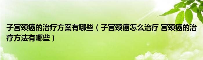 子宫颈癌的治疗方案有哪些（子宫颈癌怎么治疗 宫颈癌的治疗方法有哪些）