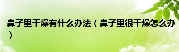 鼻子里干燥有什么办法（鼻子里很干燥怎么办）