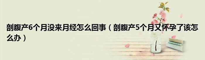 剖腹产6个月没来月经怎么回事（剖腹产5个月又怀孕了该怎么办）