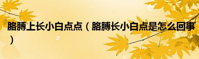 胳膊上长小白点点（胳膊长小白点是怎么回事）