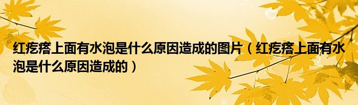 红疙瘩上面有水泡是什么原因造成的图片（红疙瘩上面有水泡是什么原因造成的）