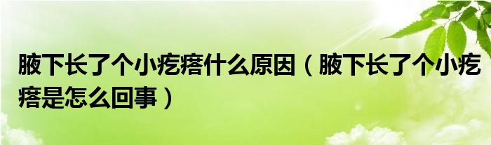 腋下长了个小疙瘩什么原因（腋下长了个小疙瘩是怎么回事）