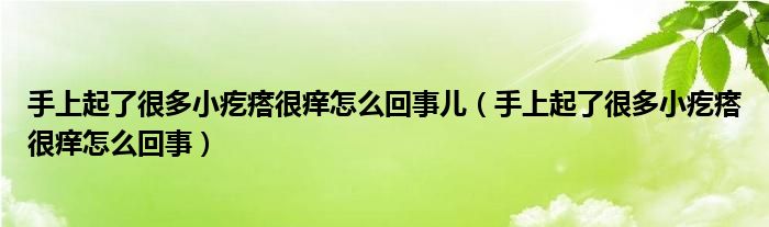 手上起了很多小疙瘩很痒怎么回事儿（手上起了很多小疙瘩很痒怎么回事）