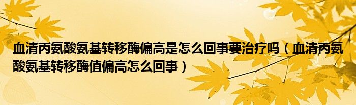 血清丙氨酸氨基转移酶偏高是怎么回事要治疗吗（血清丙氨酸氨基转移酶值偏高怎么回事）