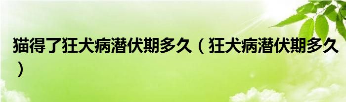 猫得了狂犬病潜伏期多久（狂犬病潜伏期多久）