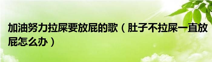 加油努力拉屎要放屁的歌（肚子不拉屎一直放屁怎么办）