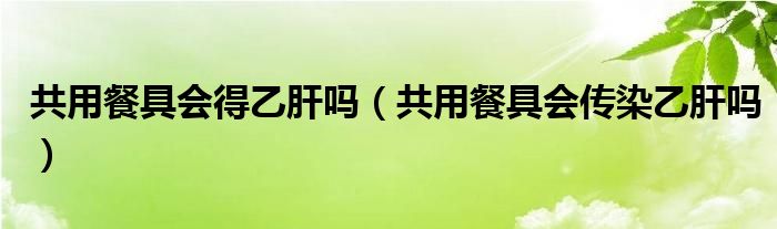 共用餐具会得乙肝吗（共用餐具会传染乙肝吗）