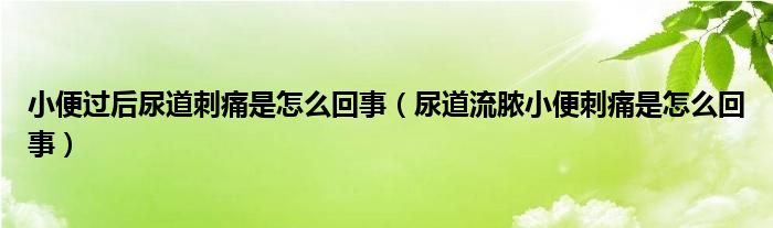 小便过后尿道刺痛是怎么回事（尿道流脓小便刺痛是怎么回事）