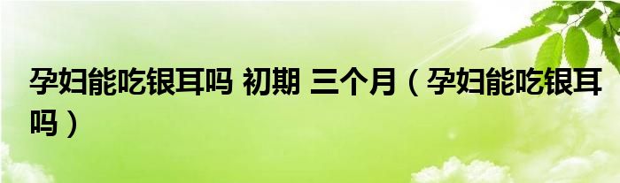 孕妇能吃银耳吗 初期 三个月（孕妇能吃银耳吗）