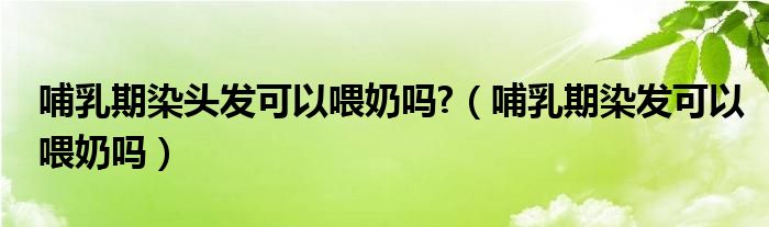 哺乳期染头发可以喂奶吗?（哺乳期染发可以喂奶吗）