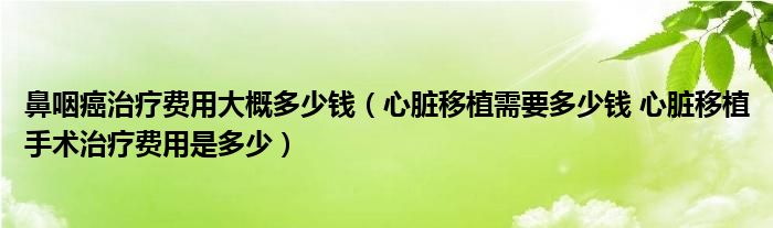 鼻咽癌治疗费用大概多少钱（心脏移植需要多少钱 心脏移植手术治疗费用是多少）