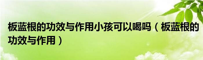 板蓝根的功效与作用小孩可以喝吗（板蓝根的功效与作用）