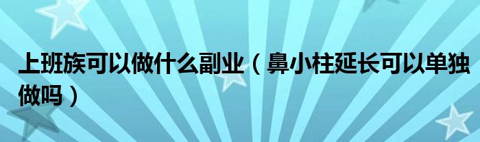 上班族可以做什么副业（鼻小柱延长可以单独做吗）