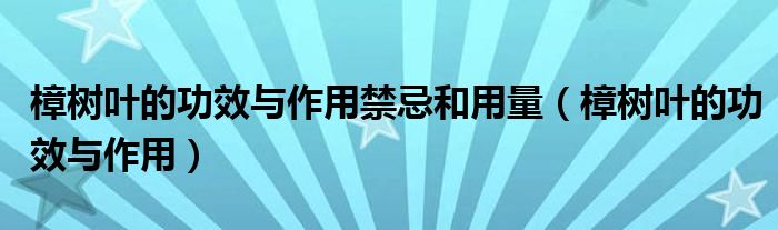 樟树叶的功效与作用禁忌和用量（樟树叶的功效与作用）