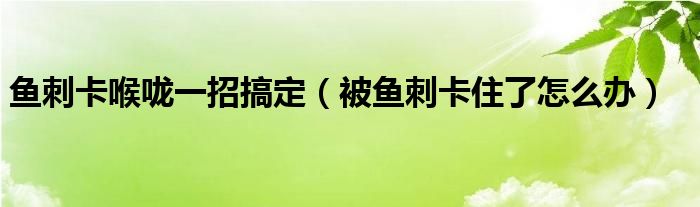 鱼刺卡喉咙一招搞定（被鱼刺卡住了怎么办）