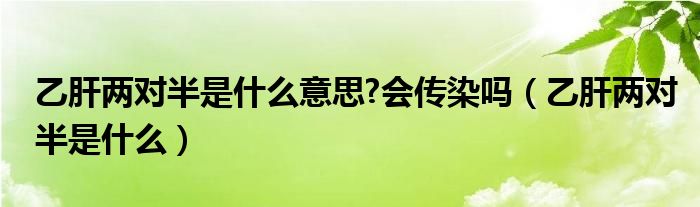 乙肝两对半是什么意思?会传染吗（乙肝两对半是什么）