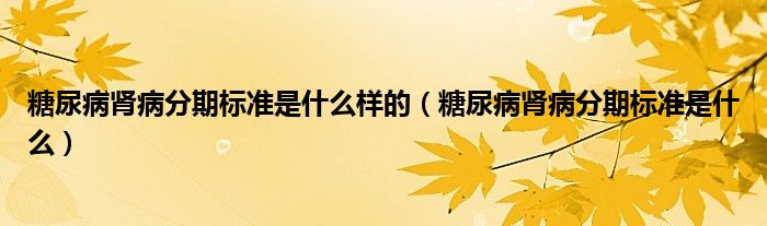 糖尿病肾病分期标准是什么样的（糖尿病肾病分期标准是什么）