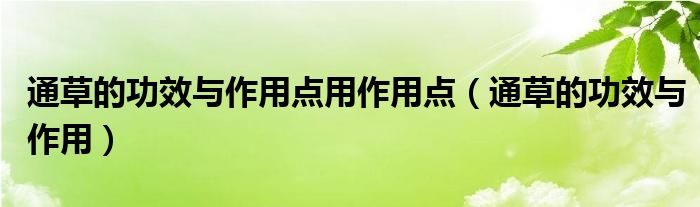 通草的功效与作用点用作用点（通草的功效与作用）