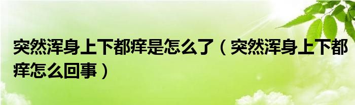 突然浑身上下都痒是怎么了（突然浑身上下都痒怎么回事）