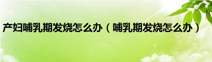 产妇哺乳期发烧怎么办（哺乳期发烧怎么办）