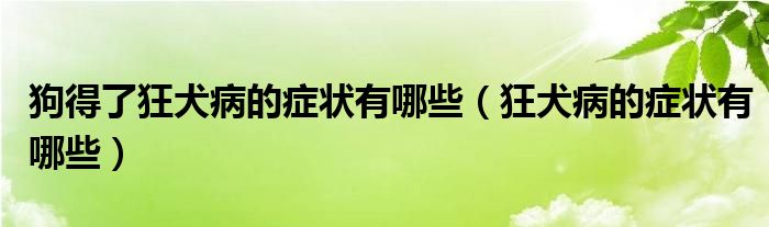 狗得了狂犬病的症状有哪些（狂犬病的症状有哪些）