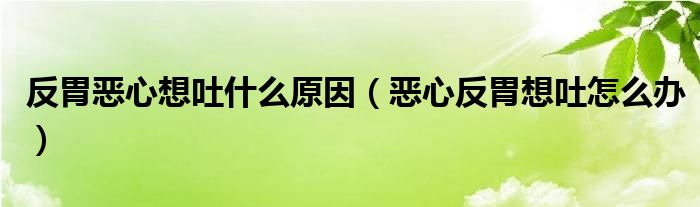 反胃恶心想吐什么原因（恶心反胃想吐怎么办）