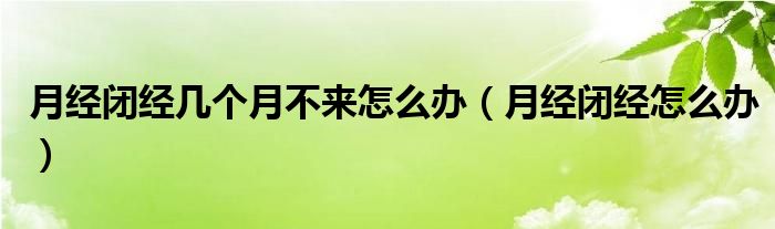 月经闭经几个月不来怎么办（月经闭经怎么办）