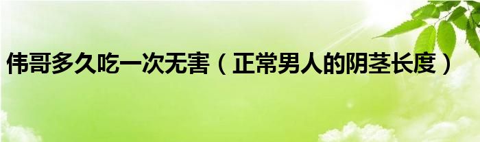 伟哥多久吃一次无害（正常男人的阴茎长度）