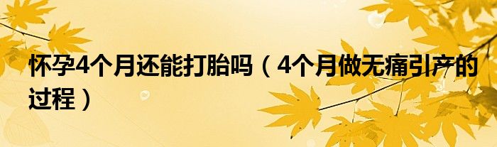 怀孕4个月还能打胎吗（4个月做无痛引产的过程）