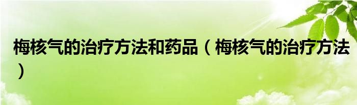 梅核气的治疗方法和药品（梅核气的治疗方法）