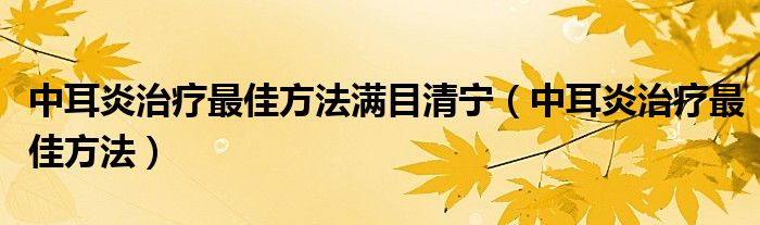 中耳炎治疗最佳方法满目清宁（中耳炎治疗最佳方法）